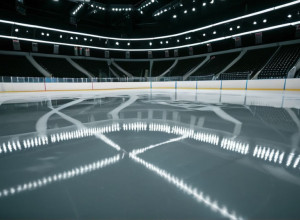 "Мэйпл Лифс" прервали серию поражений, одолев "Блюз" в овертайме