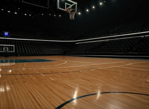 Баскетбольный матч: Boston College обыграл Hampton со счетом 63-52