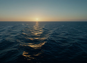 Заявления о "спасенных жизнях" от наркотиков: эксперты опровергают утверждения Трампа