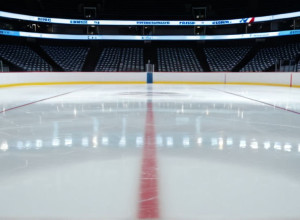 "Хищники" против "Красных Крыльев": Превью матча НХЛ