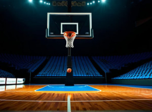 Джекрэббитс и Вулверинс встретятся в Канкуне: превью матча