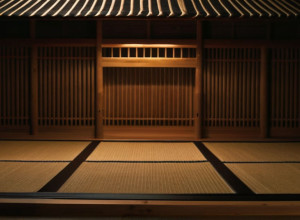 Украинский борец сумо Аонишики покоряет вершину японского национального спорта