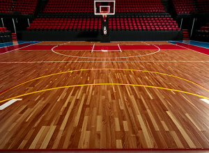 «Окленд» одолел «Монтану» со счетом 95-87 благодаря выдающейся игре Робинсона