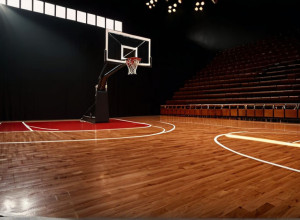 Баскетбол: Air Force против Florida Atlantic в решающем матче