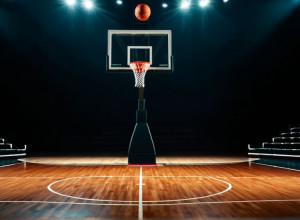 Предстоящий матч: Idaho Vandals сразятся с CSU Northridge Matadors