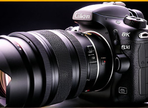 Добро пожаловать в мир искусственного интеллекта