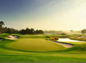 Райан Фокс в лидерах на турнире Australian PGA, Адам Скотт отстает на один удар