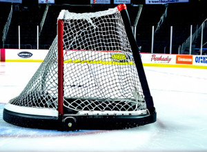 «Нэшвилл Предаторз» прервали серию поражений, одержав волевую победу над «Детройт Ред Уингз»