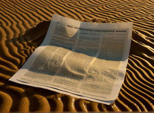 Гражданство США под угрозой: опасения натурализованных американцев из-за политики Трампа