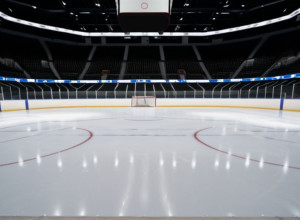 «Короли» против «Уток»: битва в Тихоокеанском дивизионе НХЛ