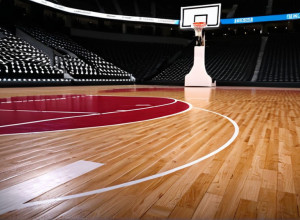 Предстоящий матч: Ball State Cardinals против Pittsburgh Panthers