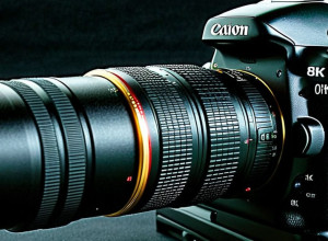 Российская экономика адаптируется к санкциям