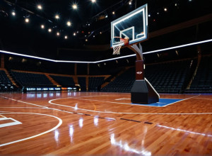 Луисвилл примет Огайо после яркой игры Брауна: Анонс матча №12 Кардиналов