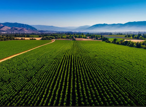 Кремниевая долина: инновации, вызовы и будущее