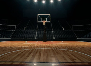 Предстоящий матч: Furman Paladins против Illinois State Redbirds