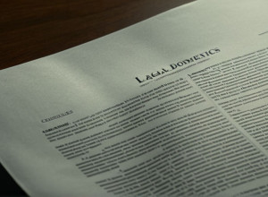 Суд Японии поддержал запрет однополых браков, дело передано в Верховный суд