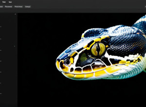 Краткое руководство по Python