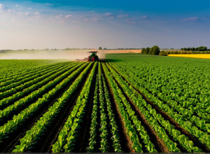 Инновационные технологии в сельском хозяйстве