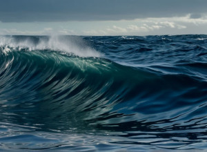 Бурое пеликанье "пиршество": многообещающий знак для морских птиц