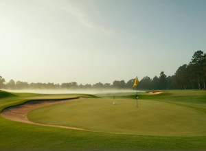 Европа захватила лидерство на Кубке чемпионов мира Skechers по гольфу