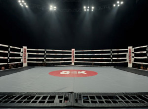 Мераб Двалишвили против Петра Яна: битва за пояс UFC 323 и исторический рекорд