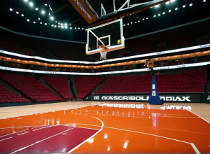 Баскетбольный матч: DePaul Blue Demons против UAPB Golden Lions – Обзор перед игрой