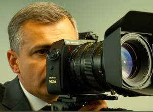 Поиск по статьям