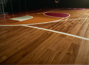 Алабама A&M разгромила Теннесси Стэйт благодаря 21 очку Писсиса