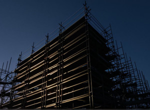 Гонконг защищает бамбуковые леса после смертоносного пожара: эксперты и жители против их запрета