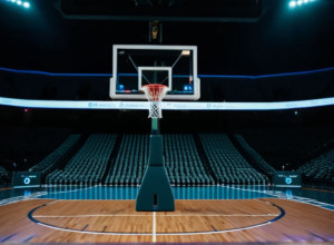 Баскетбольный матч между Bethune-Cookman Wildcats и South Carolina State Bulldogs