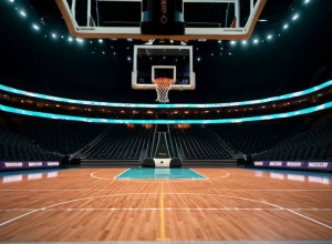 Мерсихерст Лейкерс встретится с Лафайет Леопардс: Анализ предстоящего матча