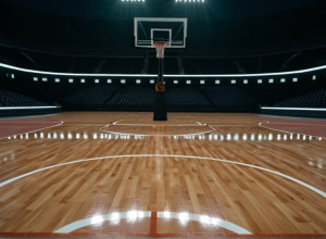 Дэвидсон принимает Цитадель после мощной игры Джоша Скоувенса