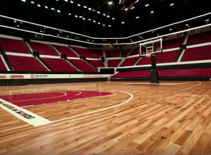 Баскетбольное противостояние: Delaware Fightin' Blue Hens против Colgate Raiders