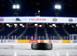 НХЛ: "Анахайм Дакс" попытаются прервать серию поражений на выезде против "Сент-Луис Блюз"