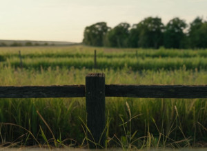 Нечёткая граница между Мичиганом и Индианой: Почему спор о земле может стать серьёзной проблемой