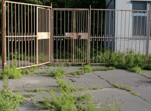 В Далласе в результате стрельбы в школе ранены 4 человека, сообщают власти