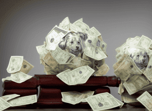 Увольнения в DOGE: чего не учел Илон Маск