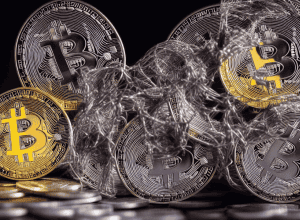 «Bitcoin Jesus» заплатил Роджеру Стоуну $600 000 за лоббирование