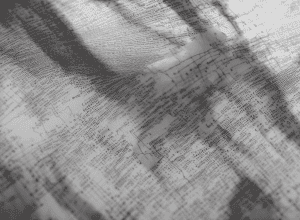 Администрация Трампа отменила аннулирование студенческих виз