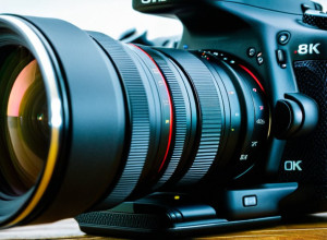 Шон Уильямс исключен из сборной Зимбабве по крикету из-за наркозависимости