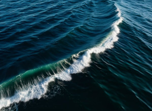 Удивительное «китовое серфинг»: как рыбы-прилипалы пересекают океан