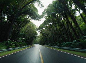 Автокатастрофа на Бали: Пятеро китайских туристов погибли в ДТП с микроавтобусом