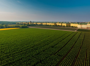 История Украины: от Киевской Руси до современной независимости