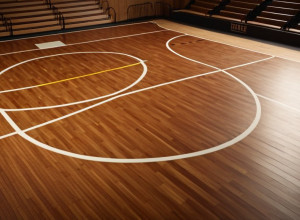 Баскетбольный матч: Bradley Braves против Western Illinois Leathernecks