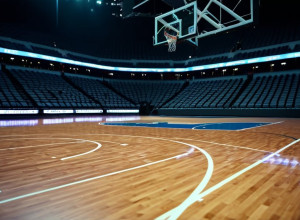 Баскетбол: «Бакнелл Байсон» против №14 «Сент-Джонс Ред Сторм»