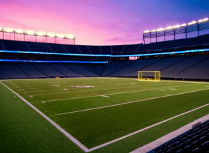 «Детройт Лайонс» стремятся вернуться в зону плей-офф, принимая «Нью-Йорк Джайентс»