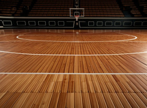 Баскетбол: «Чаттануга Мокс» и «Северная Алабама Лайонс» готовятся к неконференционной встрече