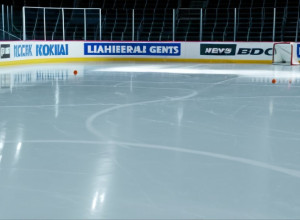 Золотые Рыцари Вегаса едут в Анахайм после дубля Эйхела: превью матча НХЛ