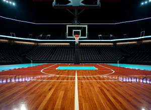 UCLA примет Presbyterian: битва на баскетбольной площадке