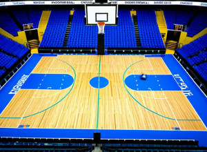 Акрон Зипс и Эвансвилл Пёрпл Эйсес: Предматчевый анализ баскетбольного поединка